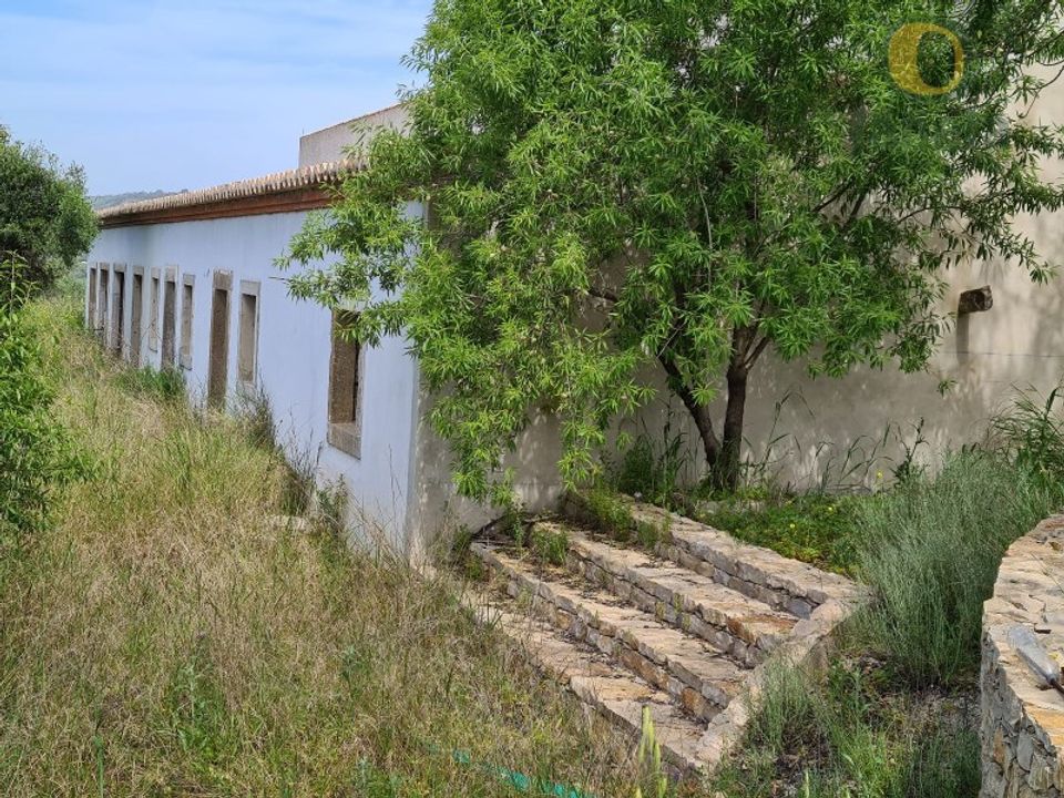 Farm i Santa Barbara de Nexe, Faro - foto 3