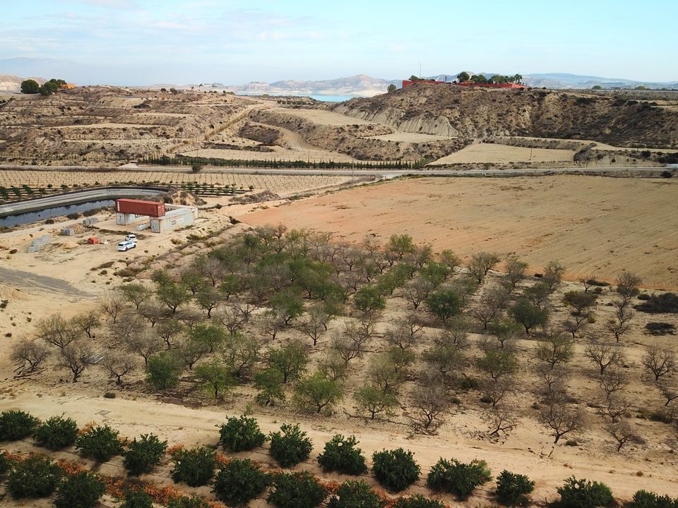 Helårsgrund i Torremendo, Alicante - foto 3