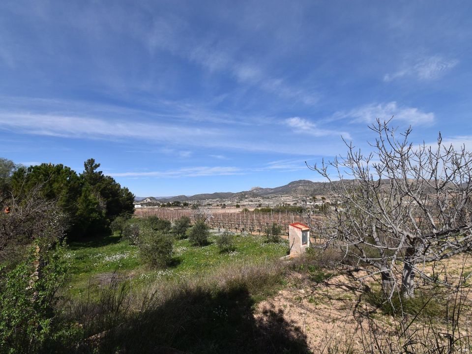 Masia a La Romana, Alicante - foto 5