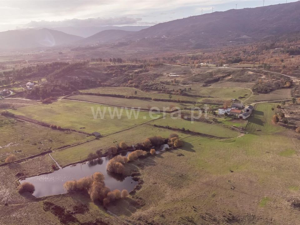 Gospodarstwo: Guarda, Guarda – zdjęcie 1