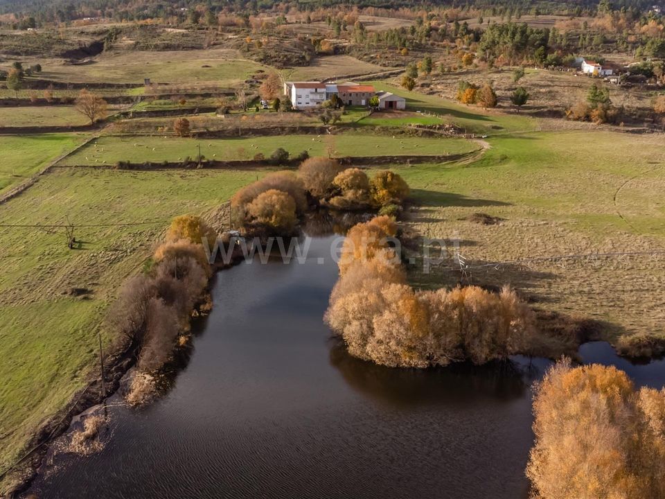 Gospodarstwo: Guarda, Guarda – zdjęcie 2