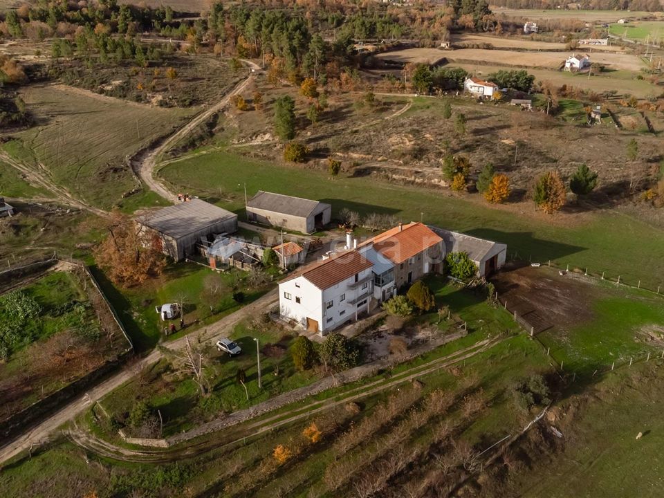 Gospodarstwo: Guarda, Guarda – zdjęcie 3