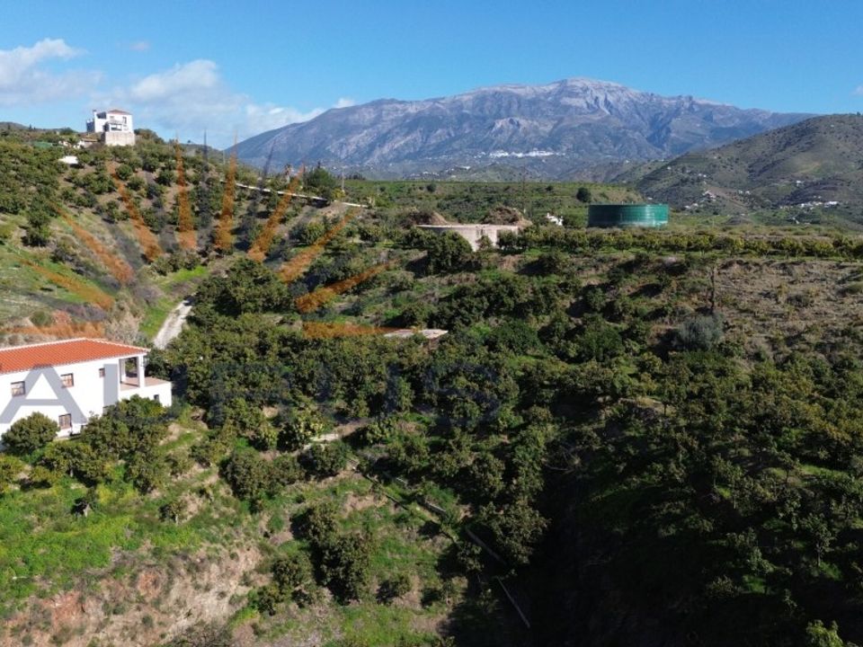 Erhvervsejendom i Trapiche, Malaga - foto 1