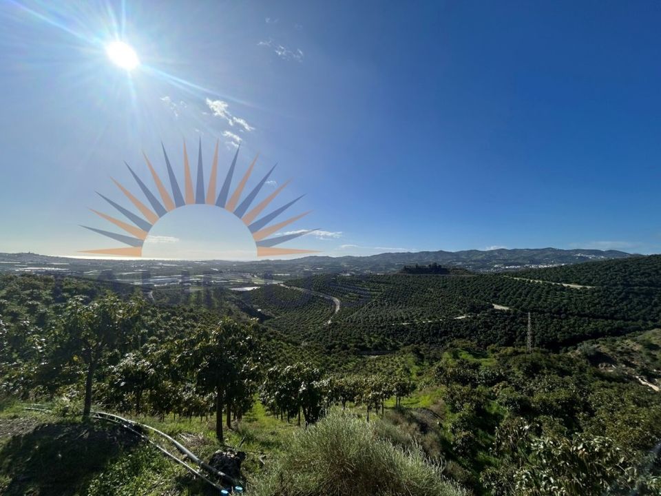 Erhvervsejendom i Trapiche, Malaga - foto 2