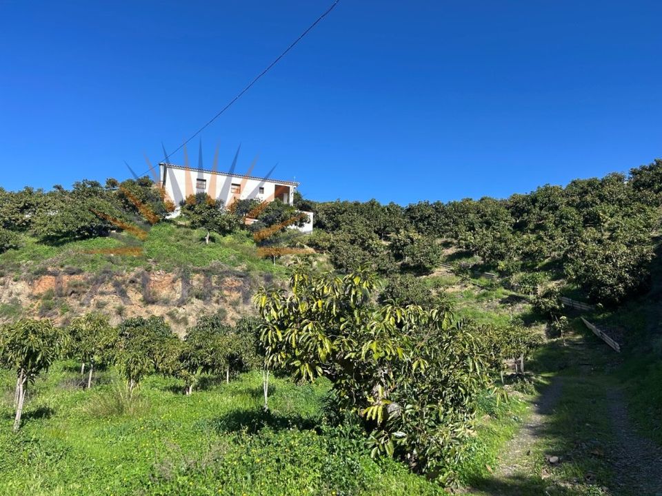Erhvervsejendom i Trapiche, Malaga - foto 3