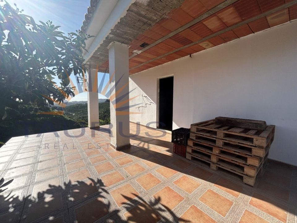 Erhvervsejendom i Trapiche, Malaga - foto 4