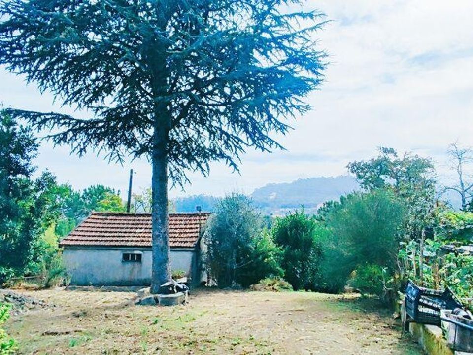 Farm i Vila Nova de Cerveira, Viana do Castelo - foto 1