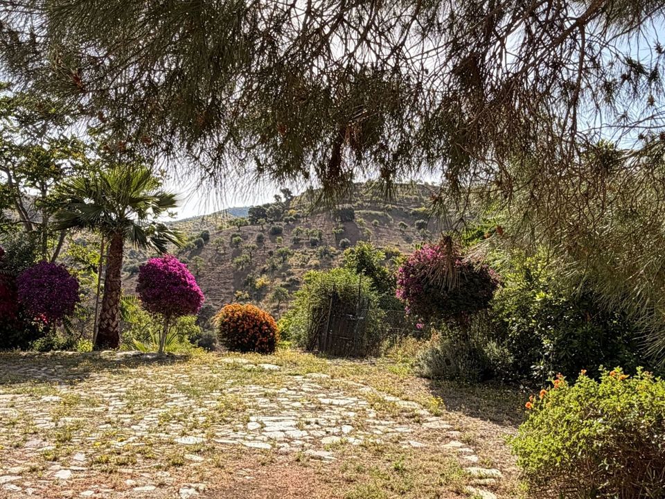Landejendom i Almogia, Malaga - foto 4