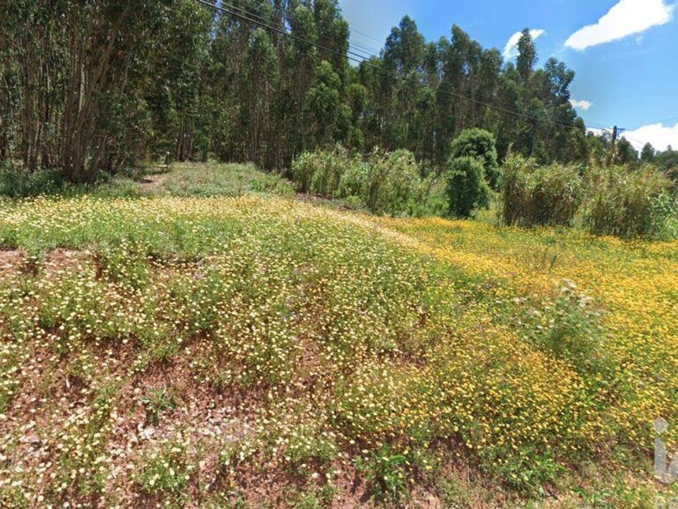Helårsgrund i Rio Maior, Santarem - foto 1