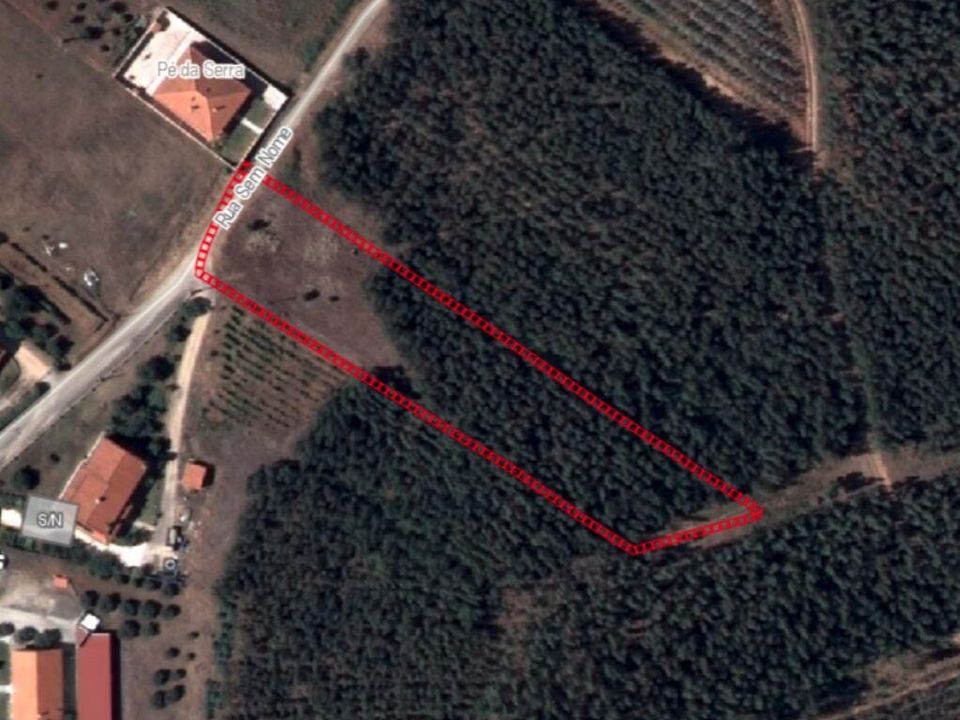 Helårsgrund i Rio Maior, Santarem - foto 2