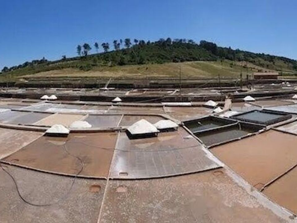 Helårsgrund i Rio Maior, Santarem - foto 5