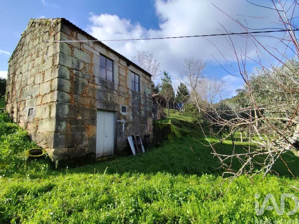 Farm i Tabua, Coimbra - foto 3