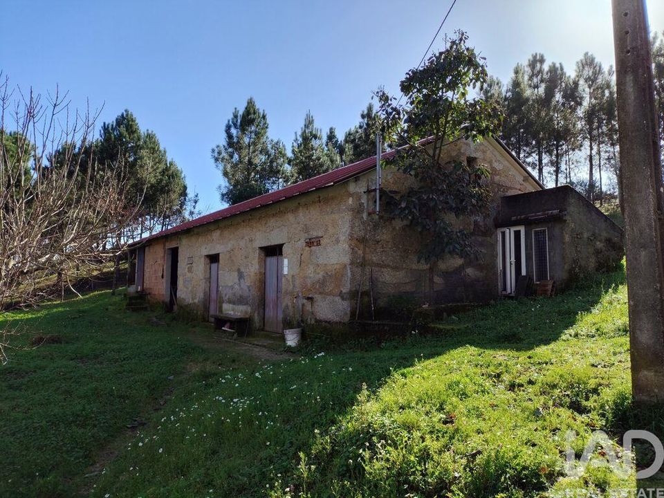 Farm i Tabua, Coimbra - foto 4