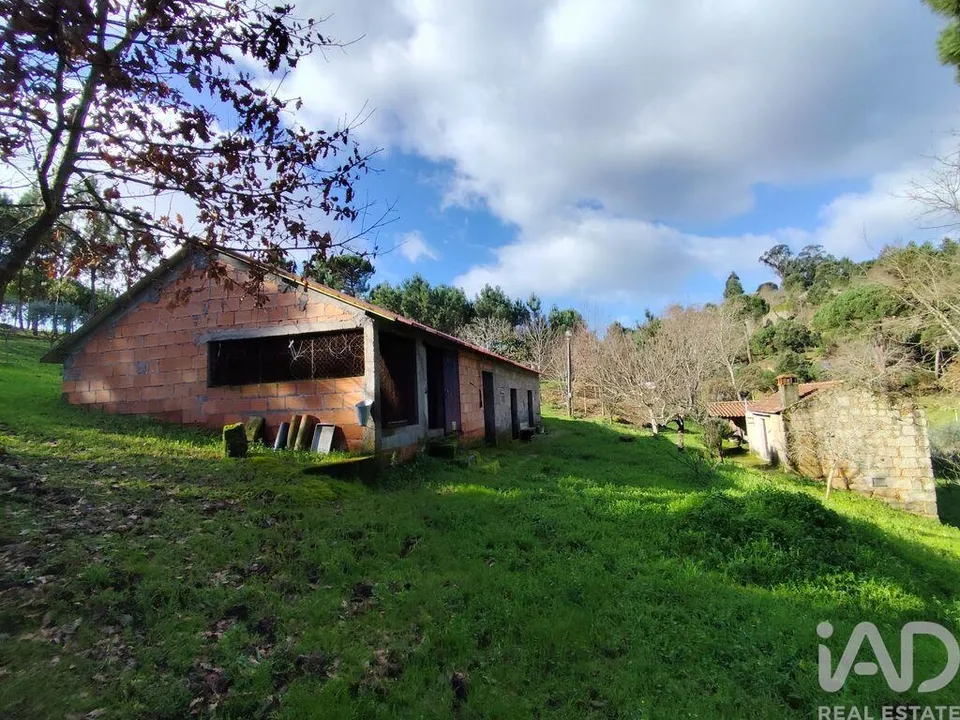 Farm i Tabua, Coimbra - foto 5