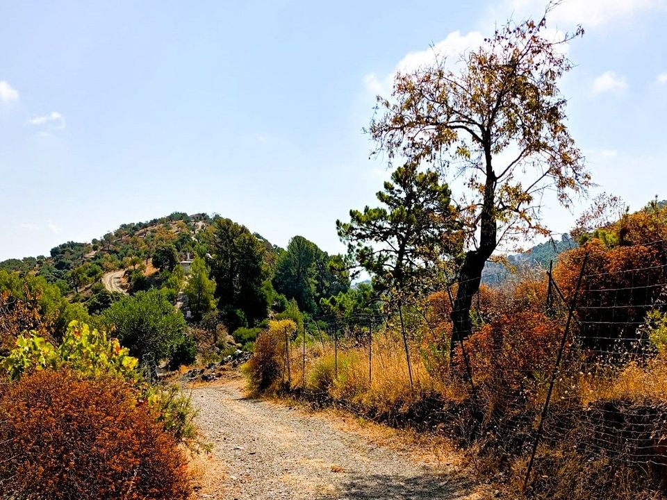 Helårsgrund i Tolox, Malaga - foto 4