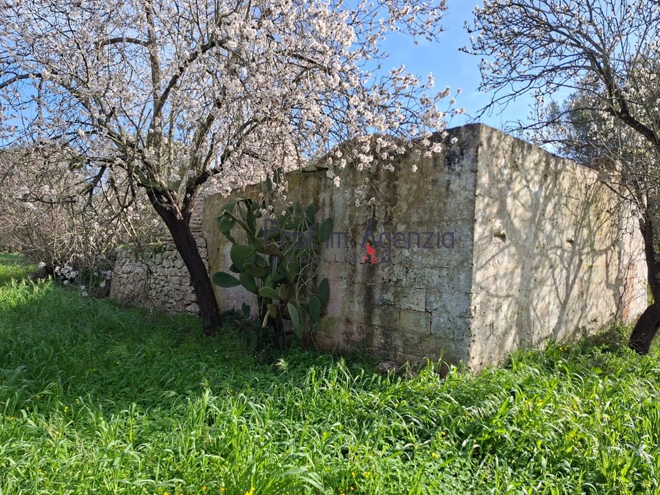 Landejendom i San Michele Salentino, Brindisi - foto 5