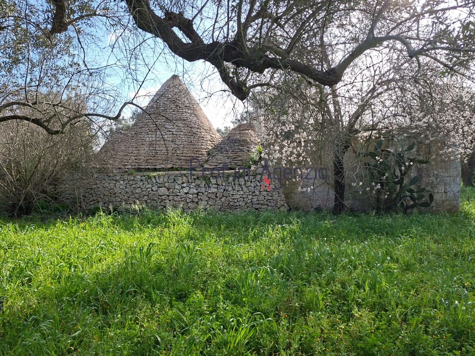 Landejendom i San Michele Salentino, Brindisi - foto 4