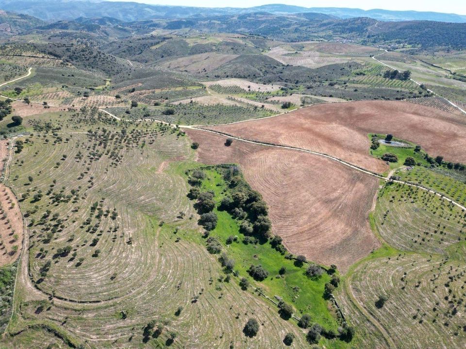 Helårsgrund i Alfandega da Fe, Braganca - foto 1
