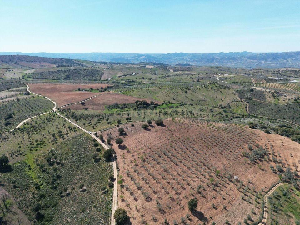 Helårsgrund i Alfandega da Fe, Braganca - foto 2