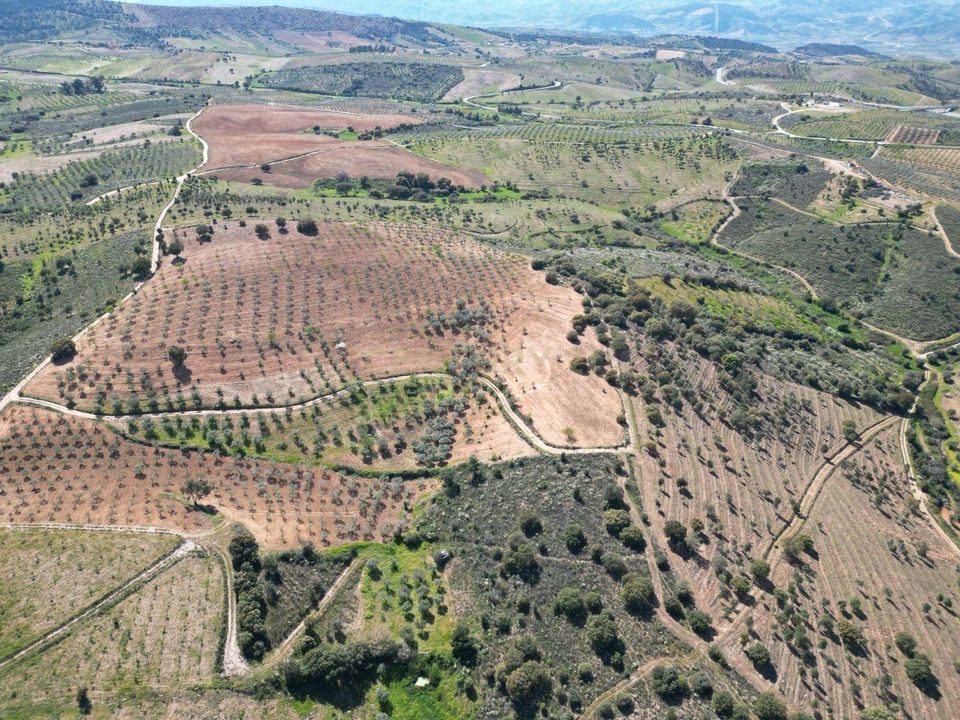 Helårsgrund i Alfandega da Fe, Braganca - foto 3