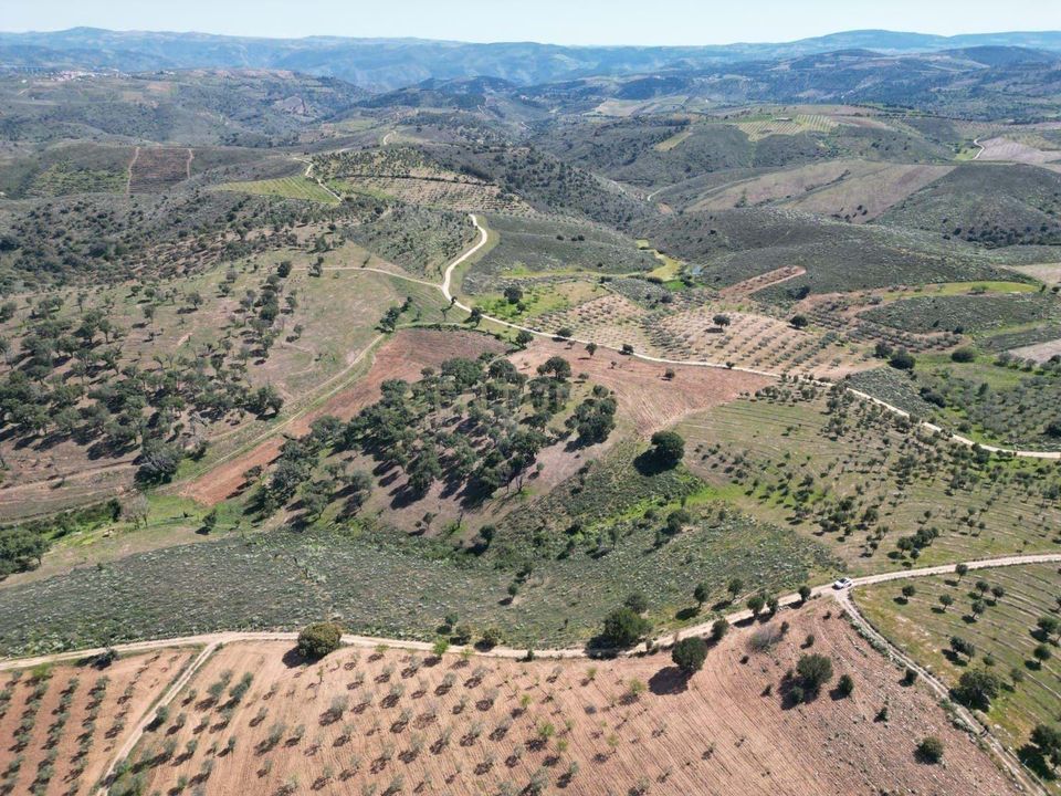 Helårsgrund i Alfandega da Fe, Braganca - foto 4