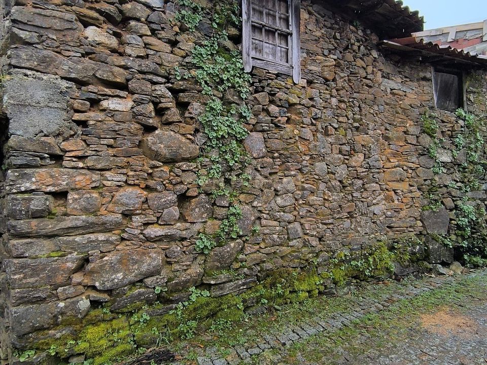 Villa i Castrelos e Carrazedo, Braganca - foto 5