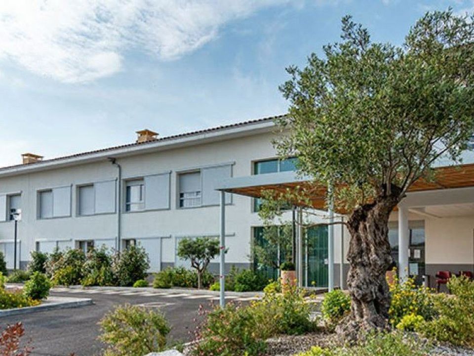 Erhvervsejendom i Saint-Georges-d'Orques, Herault - foto 1