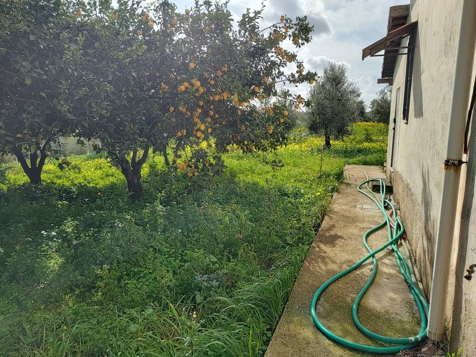 Helårsgrund i Eboli, Salerno - foto 2