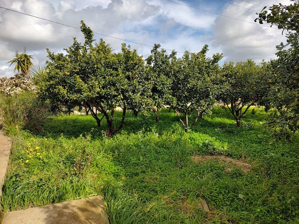 Helårsgrund i Eboli, Salerno - foto 3