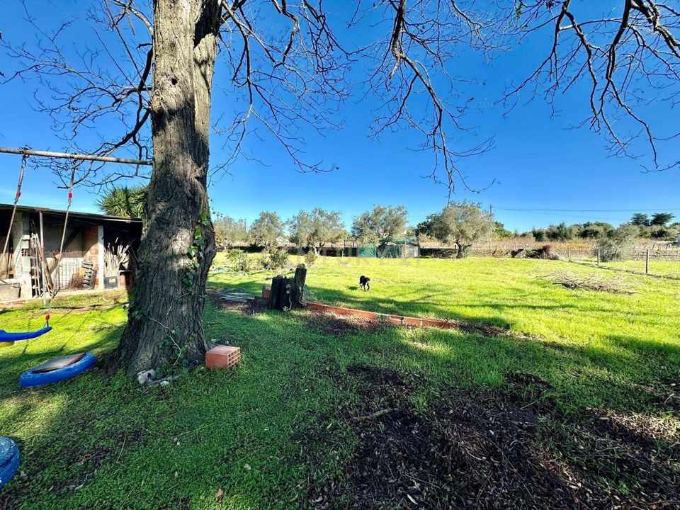 Farm hus i Palmela, Setubal - foto 5