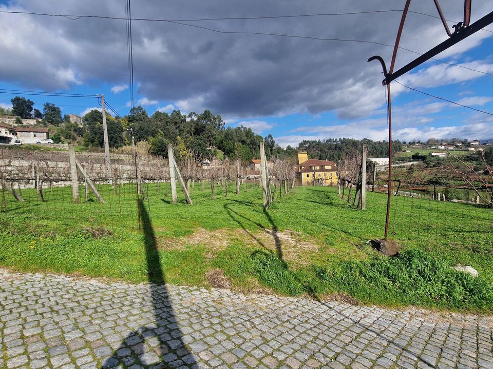 Boerderij in Amarante, Porto - foto 2