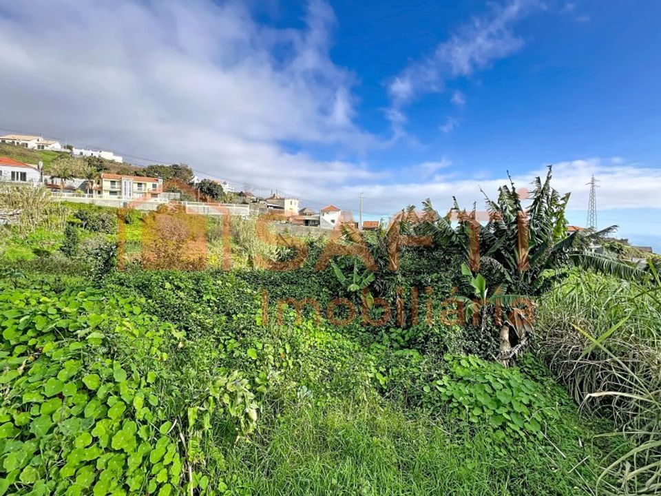 Helårsgrund i Ponta do Sol, Madeira - foto 3
