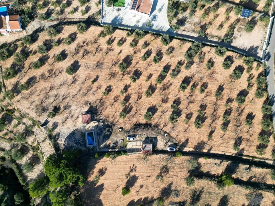 Helårsgrund i Ibi, Alicante - foto 3