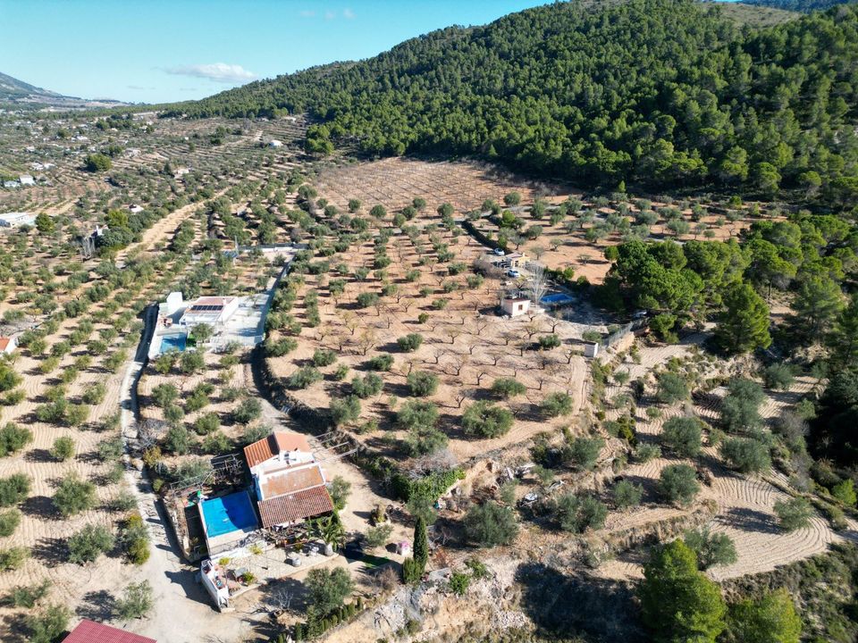 Helårsgrund i Ibi, Alicante - foto 5