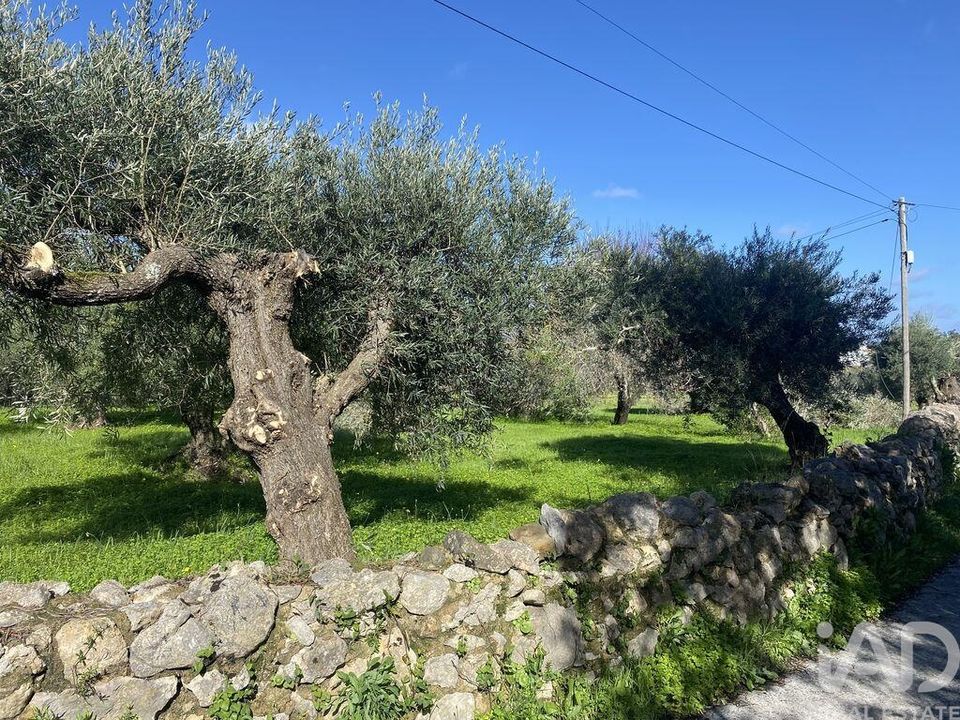 Helårsgrund i Sao Bras de Alportel, Faro - foto 1