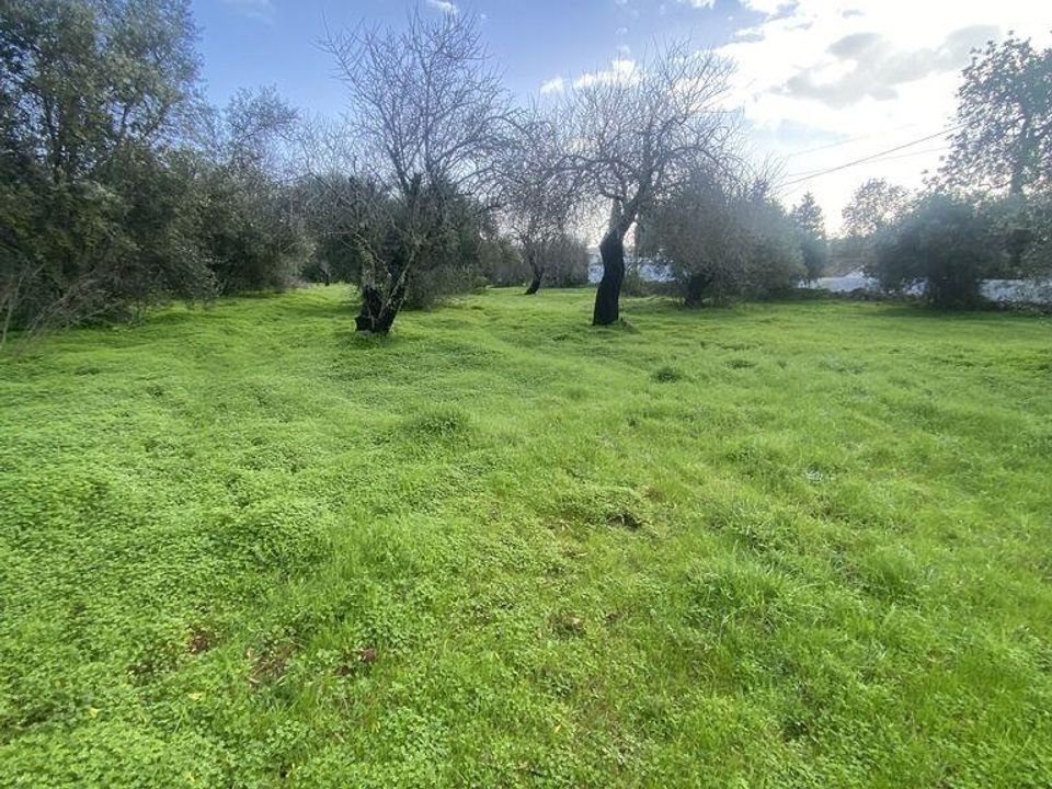 Helårsgrund i Sao Bras de Alportel, Faro - foto 2