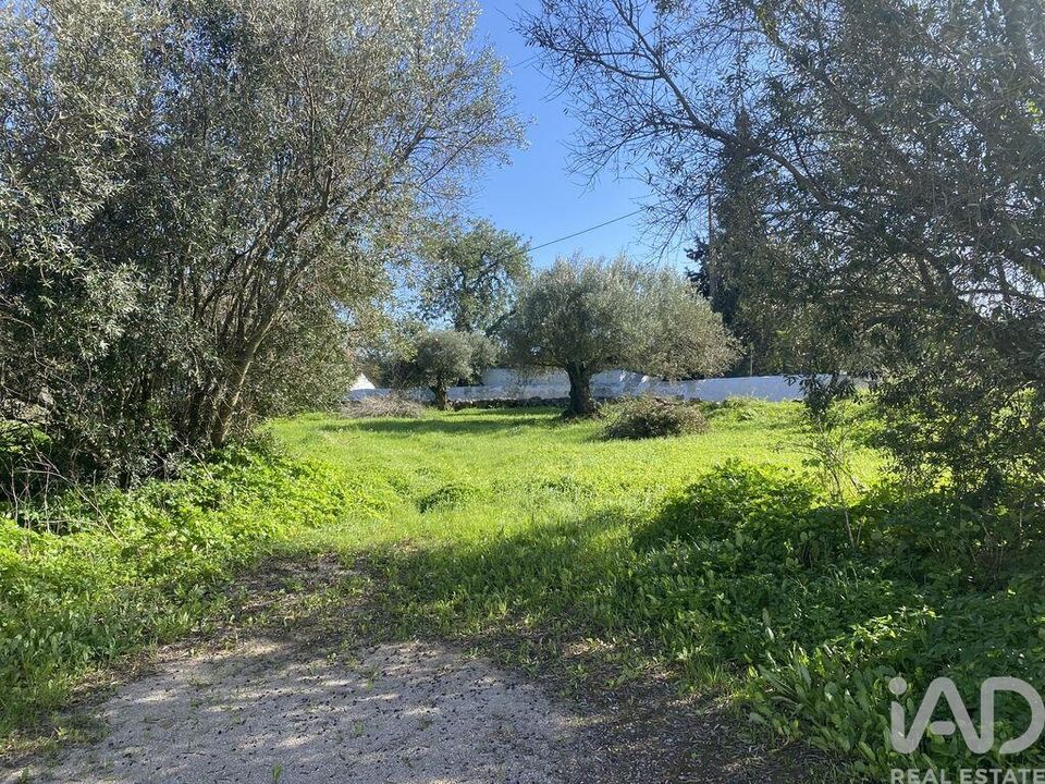 Helårsgrund i Sao Bras de Alportel, Faro - foto 5