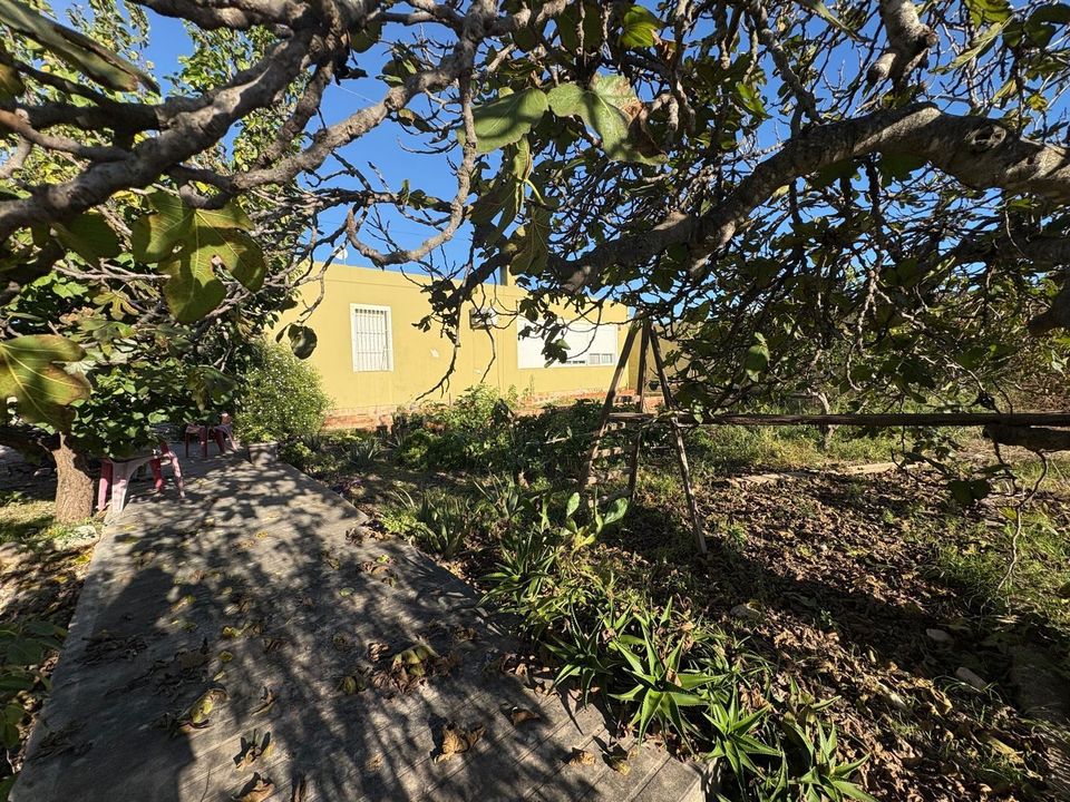Helårsgrund i Vinaros, Castellon - foto 3