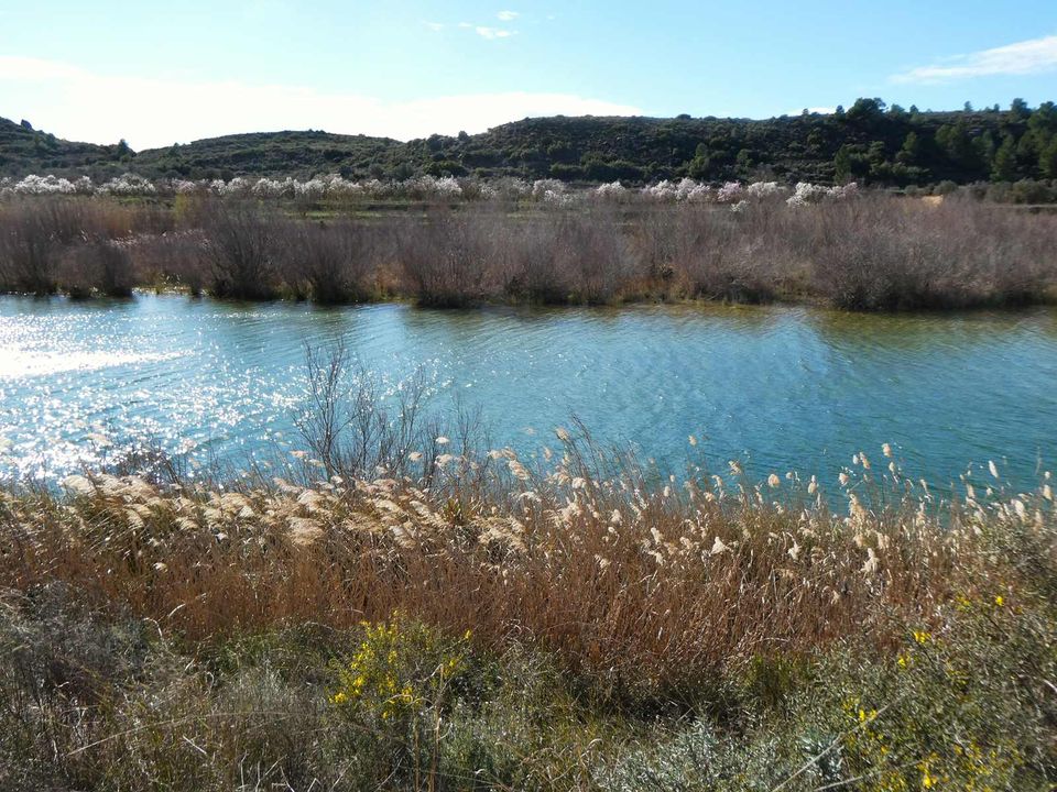 Finca a Fabara, Zaragoza - foto 4