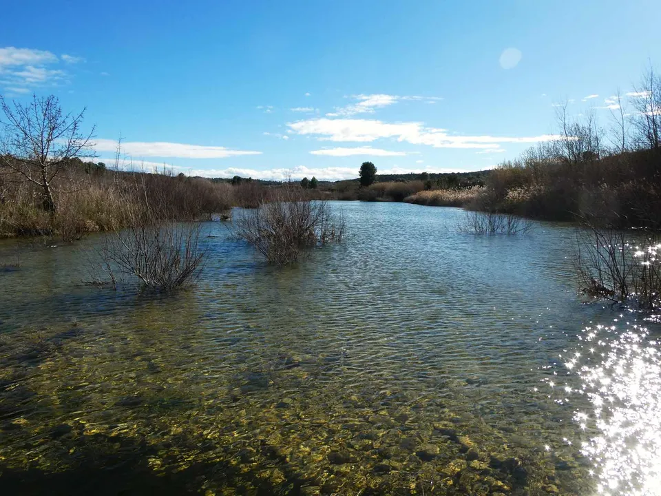 Finca a Fabara, Zaragoza - foto 3