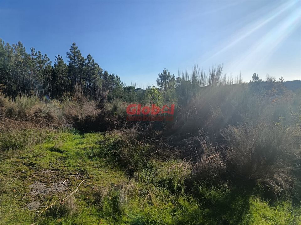 Helårsgrund i Viseu, Viseu - foto 1