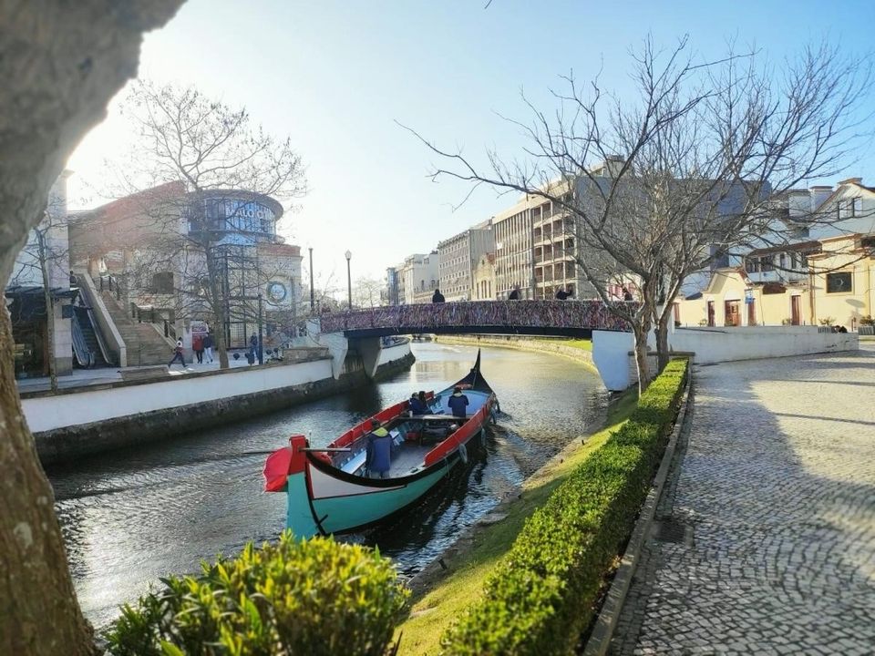 Helårsgrund i Aveiro, Aveiro - foto 4