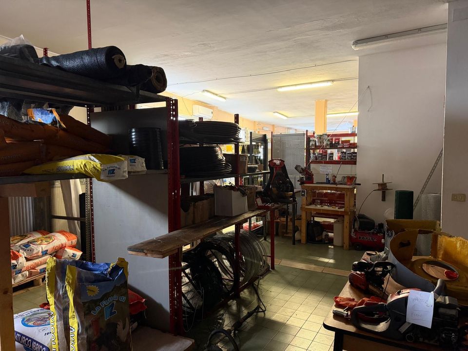 Erhvervsejendom i Castelnuovo Magra, La Spezia - foto 4