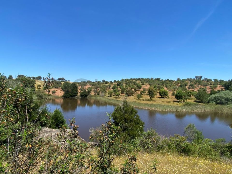 Landejendom i Vila Nova de Sao Bento e Vale de Vargo, Beja - foto 4