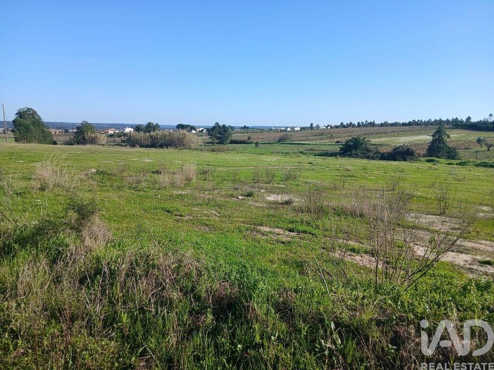 Helårsgrund i Almeirim, Santarem - foto 2