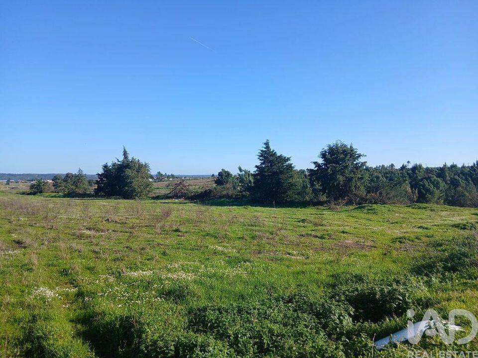 Helårsgrund i Almeirim, Santarem - foto 3