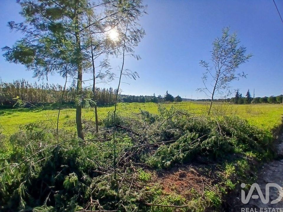 Helårsgrund i Almeirim, Santarem - foto 4