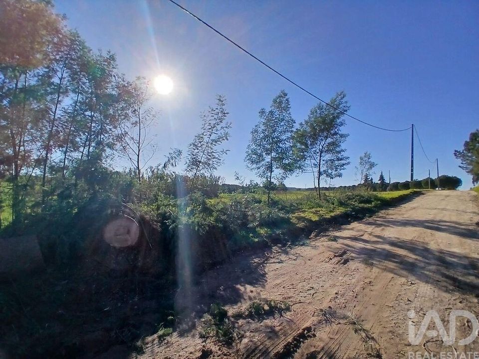 Helårsgrund i Almeirim, Santarem - foto 5