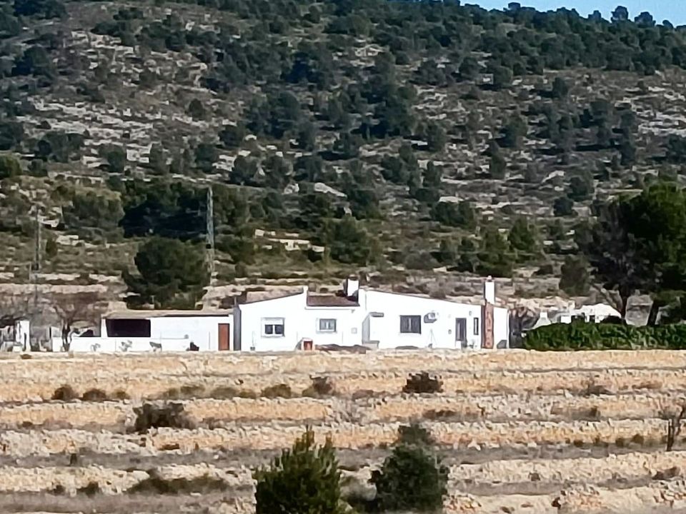 Finca i Monovar, Alicante - foto 1