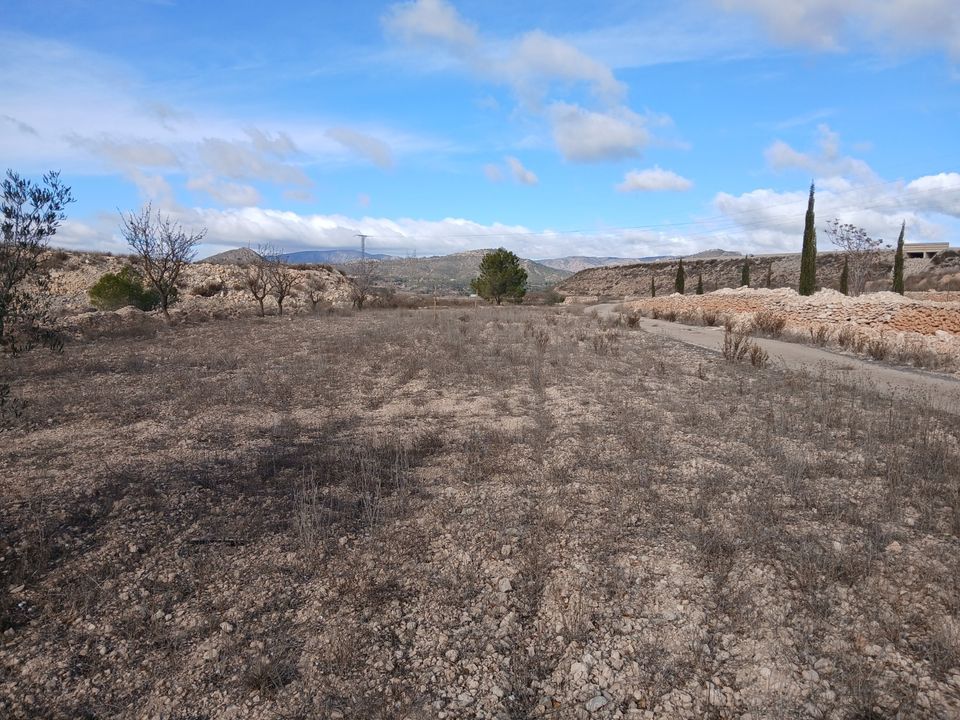 Finca i Monovar, Alicante - foto 1